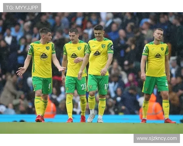 诺维奇主场迎战谢菲尔德星争夺英冠积分榜关键战役