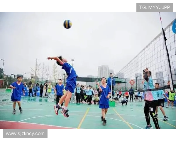 成都排球队在全国排球配合排行榜中荣获第四名展现强劲实力与团队默契